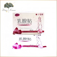 Пластырь от мастопатии 